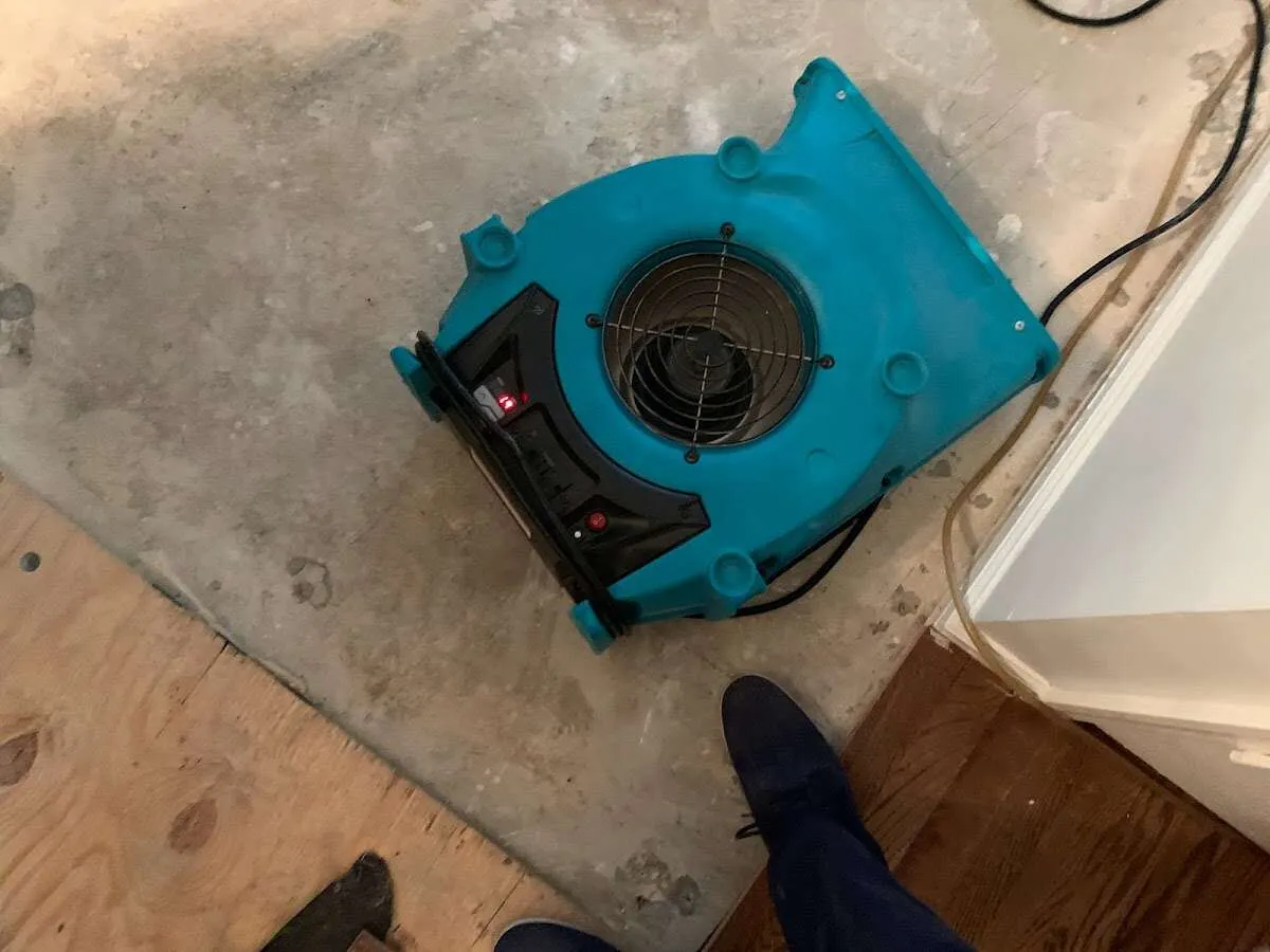 Air mover drying subfloor during Leak Detection & Repair in Archdale